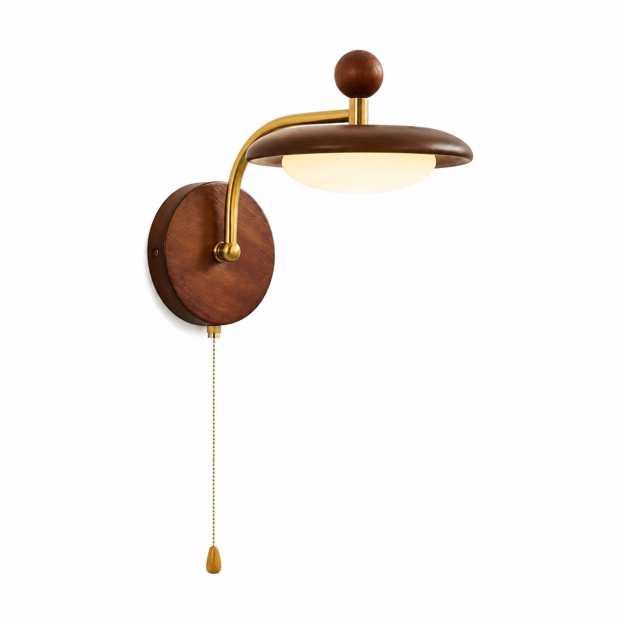 Wood Disc Wall Sconce with Brass Arm